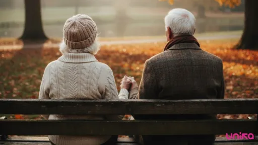 Imagine ilustrativă